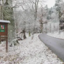 Česká silnice