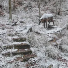 Česká silnice