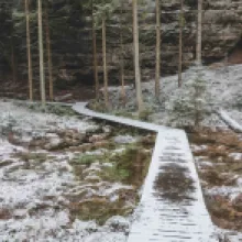 Česká silnice
