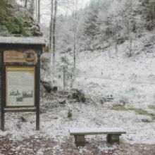 Česká silnice
