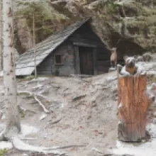 Česká silnice