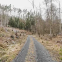 Česká silnice