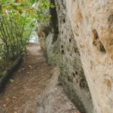 Falkenštejn