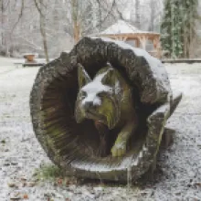 plšíkova zahrada