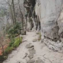šaunštejn
