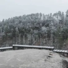 šaunštejn