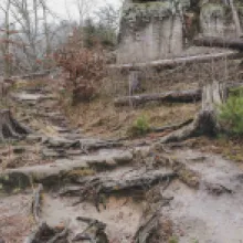 šaunštejn