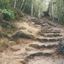 Balzerovo ležení