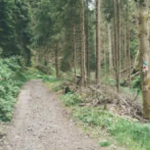 klenotnice