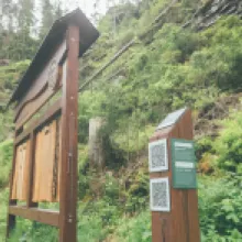 údolím říčky křinice