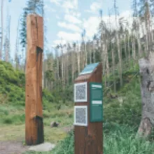 údolím říčky křinice