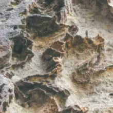 železivec 