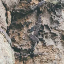 železivec 