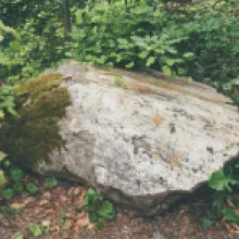 Tektonické zrcadlo