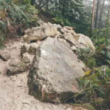 Skalní řícení