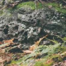 voštiny