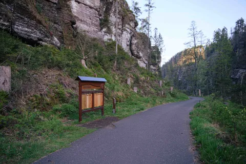 dřevo mluví