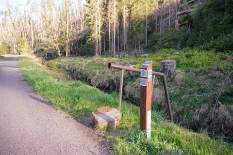 volání říčky křinice