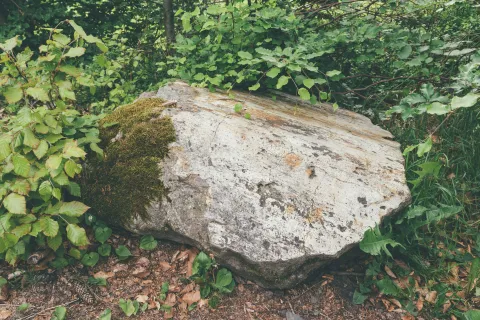 Tektonické zrcadlo