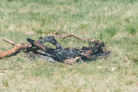 ohniště
