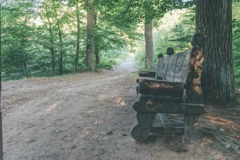 Pohovka