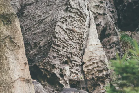 voštiny